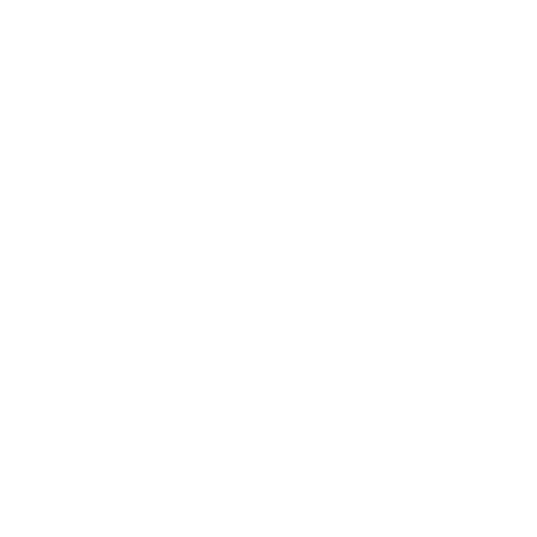 Parking Icon